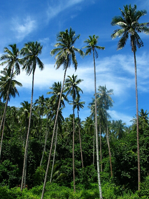 Pulau Perhentian / Malaysia - Bild 0