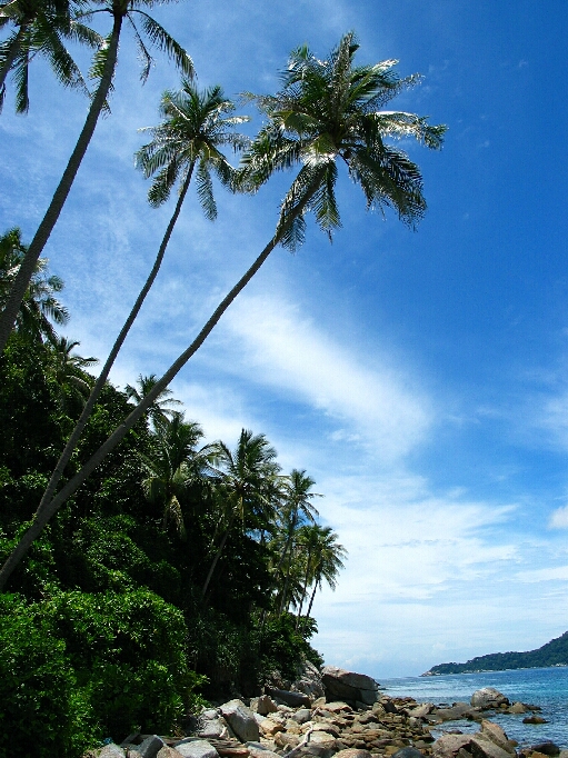 Pulau Perhentian / Malaysia - Bild 2