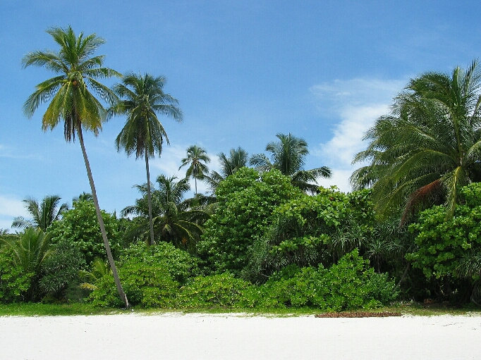 Pulau Perhentian / Malaysia - Bild 6