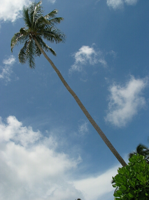 Pulau Perhentian / Malaysia - Bild 7