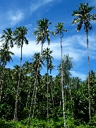 Pulau Perhentian / Malaysia - Bild 1