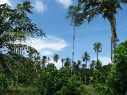 Pulau Perhentian / Malaysia - Bild 9